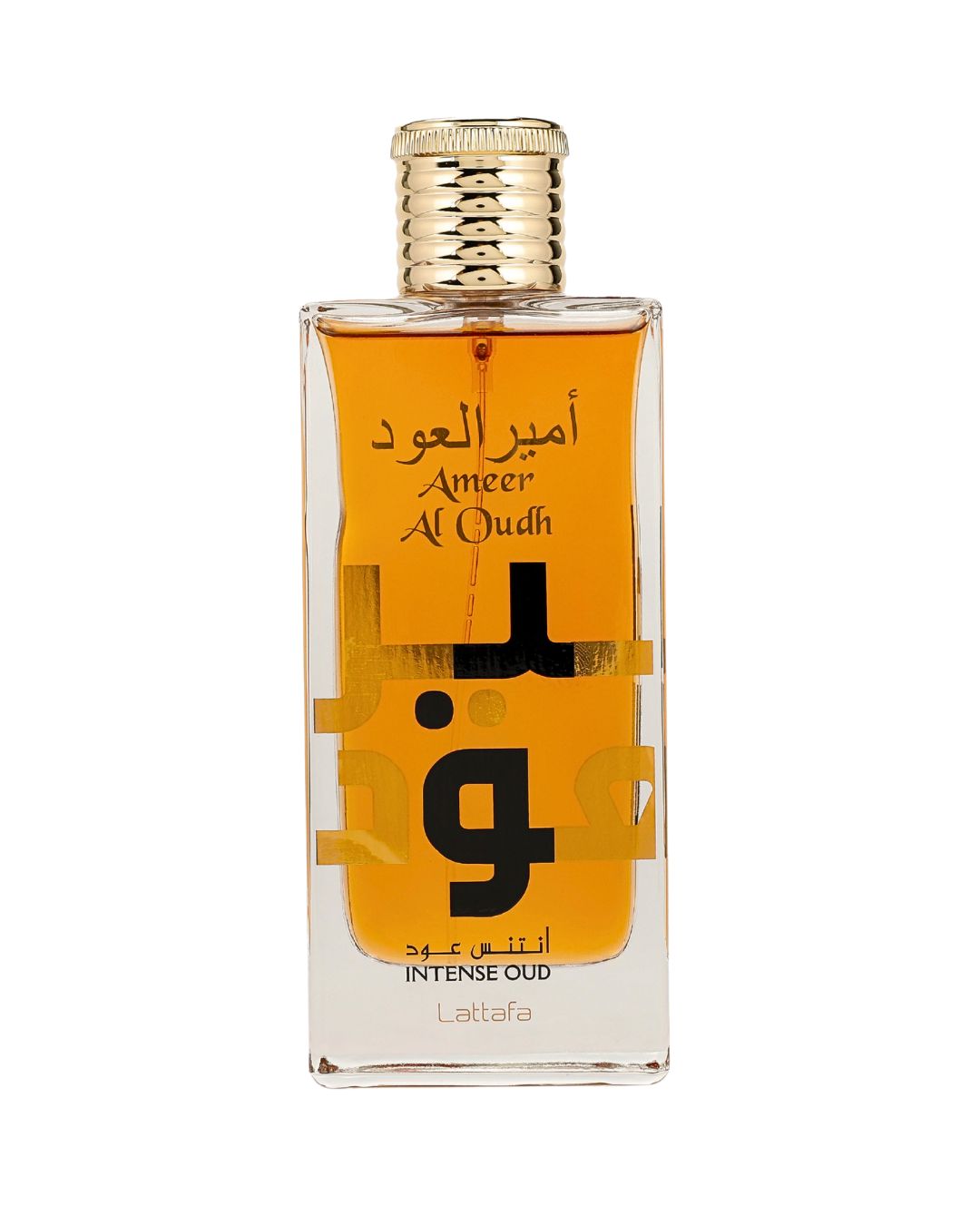 AMEER AL OUDH INTENSE OUD